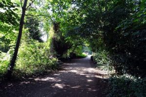 Cancer Services - Cancer Support - Support Groups - Walking For Health - Introduction Cancer Services - Cancer Support - Support Groups - Walking For Health - Introduction